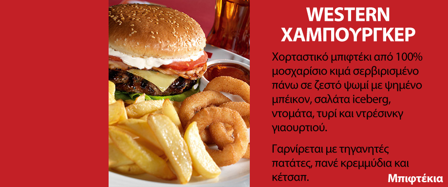 WESTERN �����������